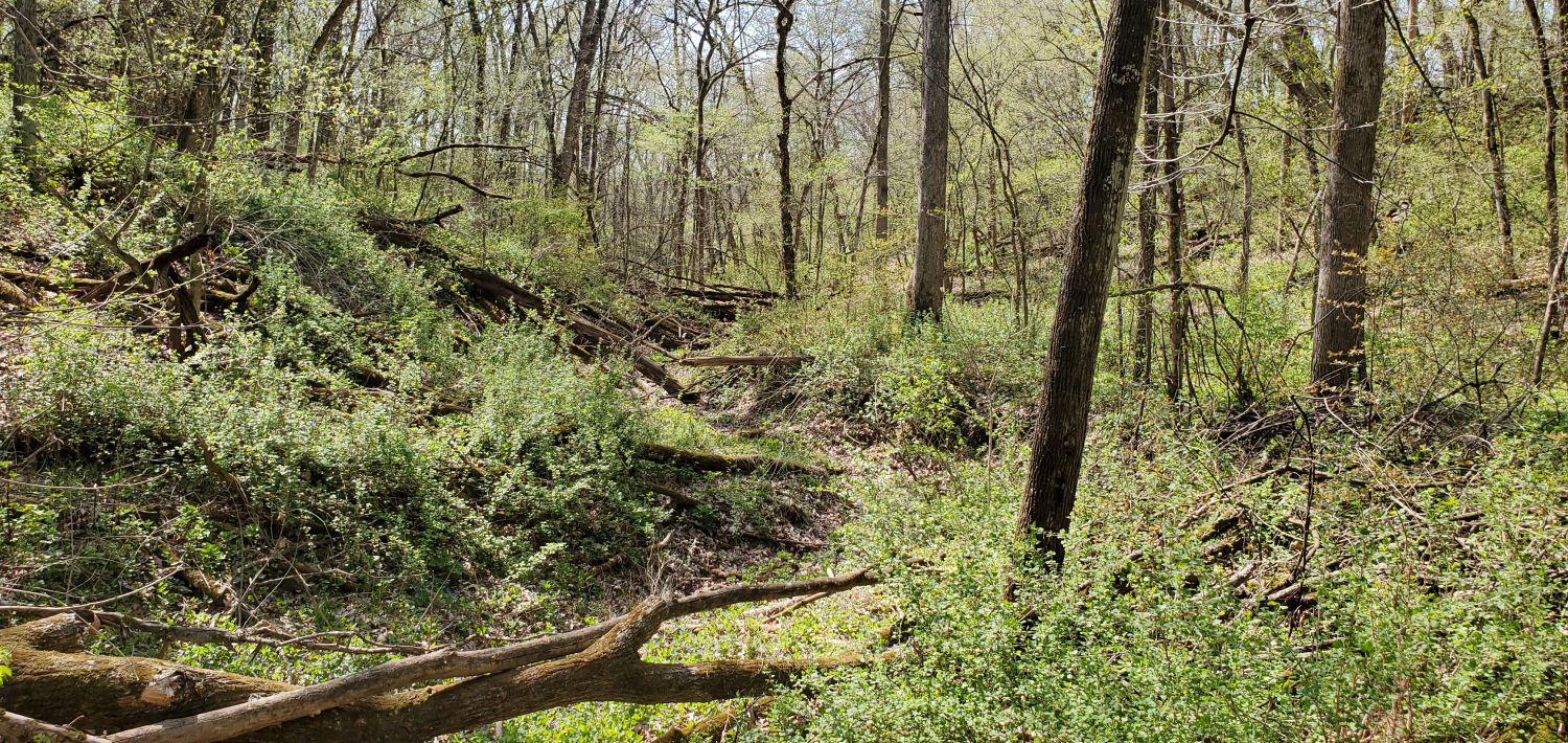 Castle Rock State Park 